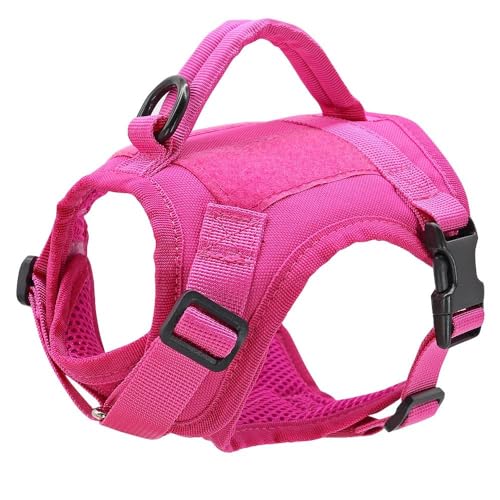 Militärisches Taktisches Geschirr Für Kleine Katzen Und Hunde, Verstellbares Nylon-Haustiergeschirr Mit Aufkleber-Patch, Outdoor-Haustier-Camping-Jagd-Trainingsgeschirr Für Kleine Hunde Und Katze Militärisches Taktisches Geschirr Für Kleine Katzen Und Hunde, Verstellbares Nylon-Haustiergeschirr Mit Aufkleber-Patch, Outdoor-Haustier-Camping-Jagd-Trainingsgeschirr Für Kleine Hunde Und Katze von HAQEPO