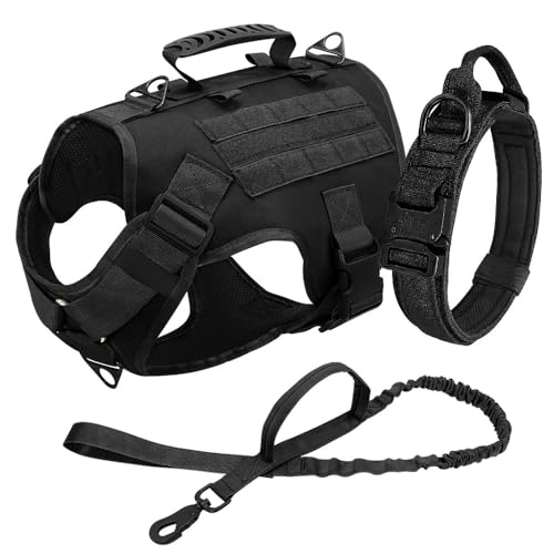 Militärtaktisch Einstellbarer Nylon Deutsch Schäferhund Bulldog Labrador Camping Jagd Training Kabelbaumkragenleine Set Mit Griff,Schwarz,L Militärtaktisch Einstellbarer Nylon Deutsch Schäferhund Bulldog Labrador Camping Jagd Training Kabelbaumkragenleine Set Mit Griff,Schwarz,L von HAQEPO