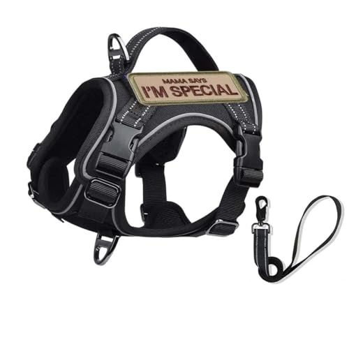 Militärtaktisch Taktisch Im Freien Reflektierende Einstellbare Nylon Chihuahua Yorkshire Terrier Sicherheitsgurt Leine Mit Vertikalem Griff,Schwarzes Set,Xs Militärtaktisch Taktisch Im Freien Reflektierende Einstellbare Nylon Chihuahua Yorkshire Terrier Sicherheitsgurt Leine Mit Vertikalem Griff,Schwarzes Set,Xs von HAQEPO