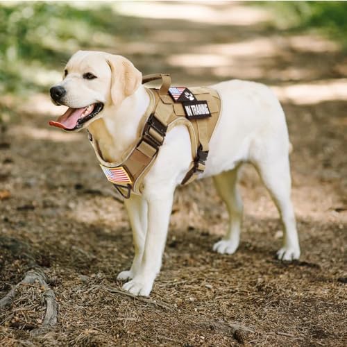 Mit 4 Metallschnallen Im Freien Reflektierende Einstellbare Hundekabelbaum Militärische Taktische Labrador Deutsche Schäferhund -Training Jagdwestegurt,Grün,S Mit 4 Metallschnallen Im Freien Reflektierende Einstellbare Hundekabelbaum Militärische Taktische Labrador Deutsche Schäferhund -Training Jagdwestegurt,Grün,S von HAQEPO