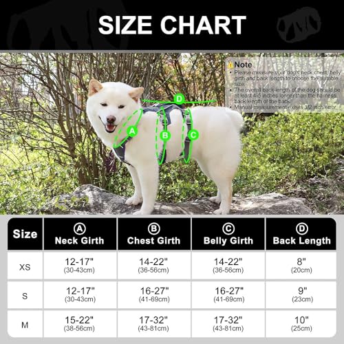 Mit Kontrollgriff Im Freien Reflektierende Einstellbare Nylonhund -Wandertraining Für Bulldog Labrador Deutsch Schäfer,Grau,S Mit Kontrollgriff Im Freien Reflektierende Einstellbare Nylonhund -Wandertraining Für Bulldog Labrador Deutsch Schäfer,Grau,S von HAQEPO