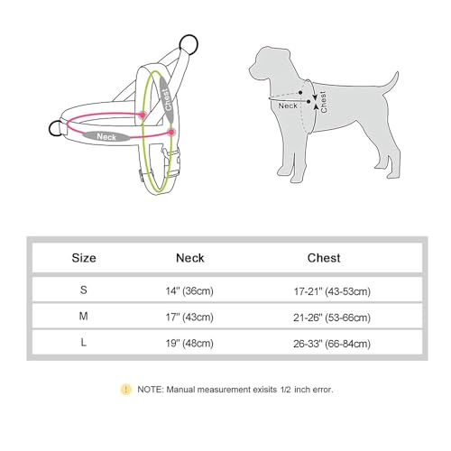 Mit Schneller Steuerung Im Freien Reflektierend Kein Atmungsaktives Mesh Nylon Hundekabelbaum Für Pug French Bulldog Labrador,Rot,M Mit Schneller Steuerung Im Freien Reflektierend Kein Atmungsaktives Mesh Nylon Hundekabelbaum Für Pug French Bulldog Labrador,Rot,M von HAQEPO