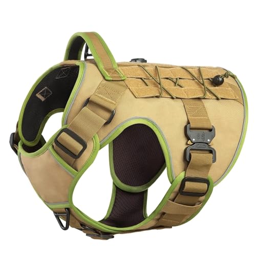 Mit Zwei Metallschnallen Heavy Dog Dog Camping Jagd Training Military Tactical Gurte,D,L von HAQEPO