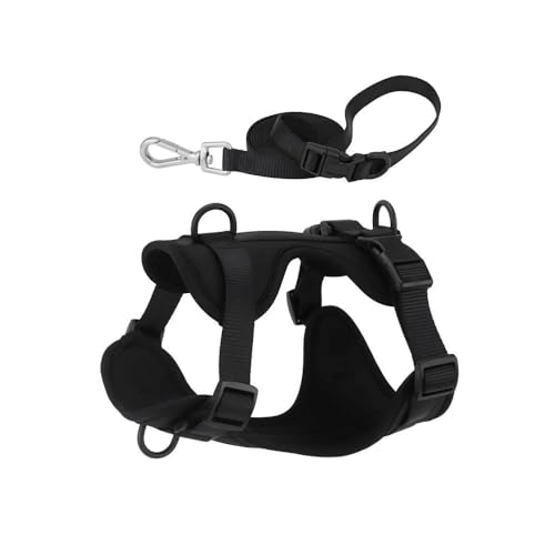 Outdoor-Hundetraining, Camping, Jagd, Geschirr Und Leine, Verstellbares Hundegeschirr Und Leine, Modisches, Wasserdichtes Nylon-Haustiergeschirr,D,XS von HAQEPO