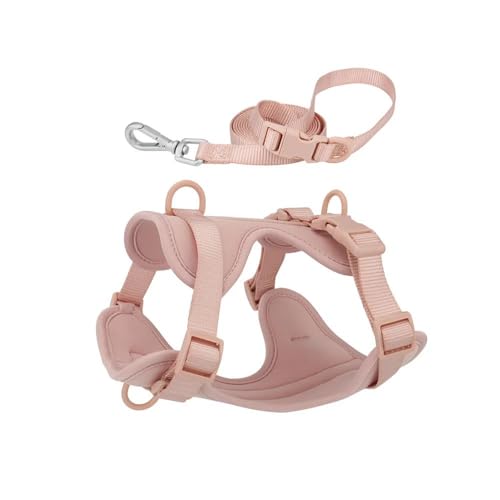 Outdoor-Hundetraining, Camping, Jagd, Geschirr Und Leine, Verstellbares Hundegeschirr Und Leine, Modisches, Wasserdichtes Nylon-Haustiergeschirr,E,XS von HAQEPO