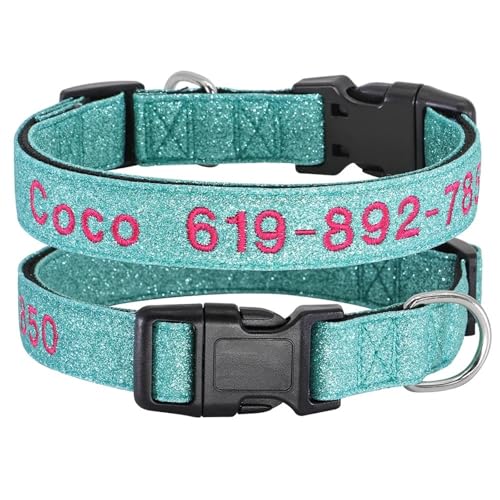 Outdoor Reflective Personalisierte Stickerei Einstellbare Nylon -Hundenname Telefonnummer Kragen Für Pitbull Bulldog Greyhound Geeignet,Hellblau,XL Outdoor Reflective Personalisierte Stickerei Einstellbare Nylon -Hundenname Telefonnummer Kragen Für Pitbull Bulldog Greyhound Geeignet,Hellblau,XL von HAQEPO