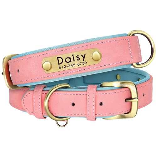 Personalisiertes Haustier-ID-Tag-Namensschild-Halsband, individuelle Gravur, PU-Leder, Hundehalsband mit Anti-Verlust-Namensschild, verstellbares Haustierhalsband für Mops, Chihuahua, Labrador, A, M Personalisiertes Haustier-ID-Tag-Namensschild-Halsband, individuelle Gravur, PU-Leder, Hundehalsband mit Anti-Verlust-Namensschild, verstellbares Haustierhalsband für Mops, Chihuahua, Labrador, A, M von HAQEPO