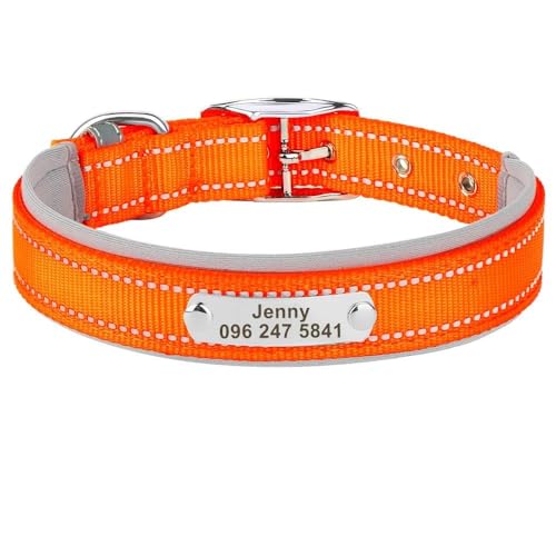Personalisiertes Haustierhalsband für den Außenbereich, reflektierend, Nylon, Anti-Verlust, verstellbar, Katzen- und Hundemarke, Namensschild, Halsband für Chihuahua, Mops, Orange, Größe L Personalisiertes Haustierhalsband für den Außenbereich, reflektierend, Nylon, Anti-Verlust, verstellbar, Katzen- und Hundemarke, Namensschild, Halsband für Chihuahua, Mops, Orange, Größe L von HAQEPO