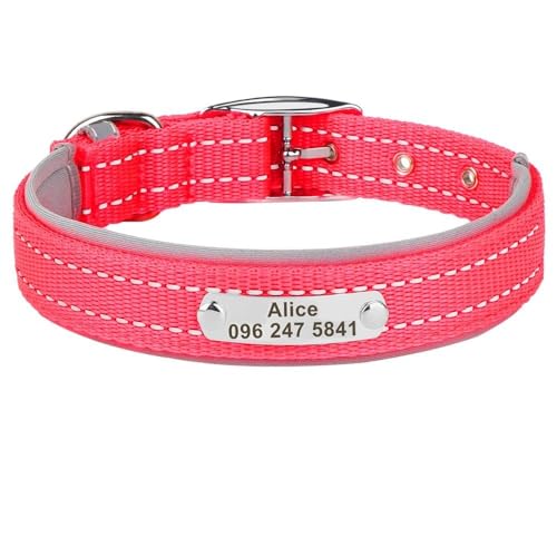 Personalisiertes Haustierhalsband für den Außenbereich, reflektierend, Nylon, Anti-Verlust, verstellbar, Katzen- und Hundemarke, Namensschild, Halsband für Chihuahua, Mops, Rosenrot, Größe XL Personalisiertes Haustierhalsband für den Außenbereich, reflektierend, Nylon, Anti-Verlust, verstellbar, Katzen- und Hundemarke, Namensschild, Halsband für Chihuahua, Mops, Rosenrot, Größe XL von HAQEPO