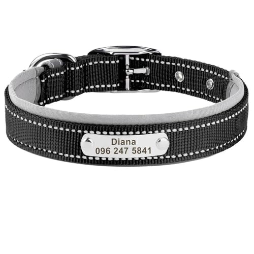 Personalisiertes Haustierhalsband für den Außenbereich, reflektierend, Nylon, Anti-Verlust, verstellbar, Katzen- und Hundemarke, Namensschild, Halsband für Chihuahua, Mops, Schwarz, Größe S Personalisiertes Haustierhalsband für den Außenbereich, reflektierend, Nylon, Anti-Verlust, verstellbar, Katzen- und Hundemarke, Namensschild, Halsband für Chihuahua, Mops, Schwarz, Größe S von HAQEPO