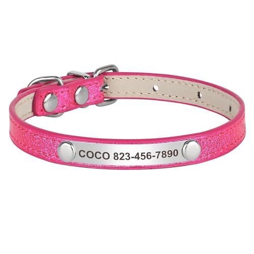 Personalisiertes Hunde- und Katzenhalsband, Anti-Verlust, verstellbar, Hunde- und Katzenmarke, Namensschild, Halsband für Chihuahua, Mops, Labrador, F, S, 20–28 cm Personalisiertes Hunde- und Katzenhalsband, Anti-Verlust, verstellbar, Hunde- und Katzenmarke, Namensschild, Halsband für Chihuahua, Mops, Labrador, F, S, 20–28 cm von YHTAKF