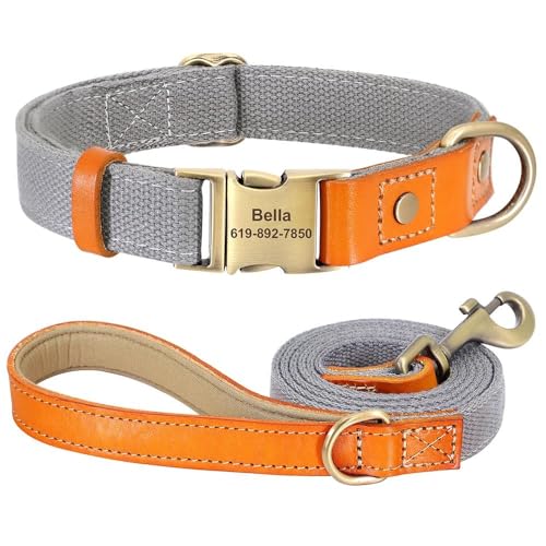 Personalisiertes Hundehalsband-Leinen-Set, verstellbar, Anti-Verlust-Nylon, Leder, individuelle Haustier-ID-Marke, Halsband und 1,5 m lange Laufleine für Deutscher Schäferhund, Labrador, Grau, Größe M Personalisiertes Hundehalsband-Leinen-Set, verstellbar, Anti-Verlust-Nylon, Leder, individuelle Haustier-ID-Marke, Halsband und 1,5 m lange Laufleine für Deutscher Schäferhund, Labrador, Grau, Größe M von HAQEPO
