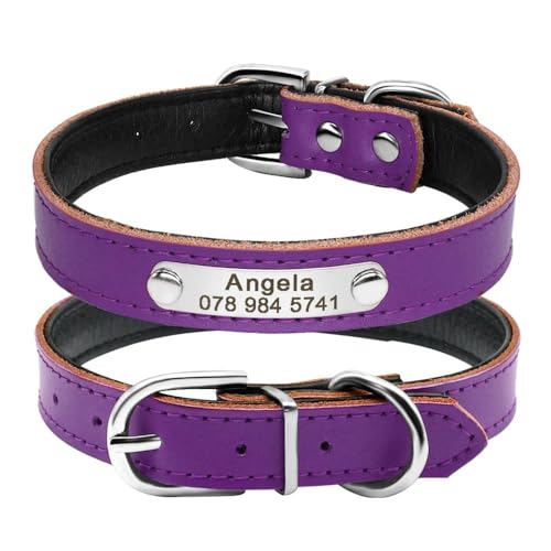 Personalisiertes Hundehalsband aus PU-Leder, individuell graviert mit ID-Tag, Namensschild, Hundehalsband, weich, bequem, Leder, verstellbar, Anti-Verlust, Labrador, Französische Bulldogge, Lila, Personalisiertes Hundehalsband aus PU-Leder, individuell graviert mit ID-Tag, Namensschild, Hundehalsband, weich, bequem, Leder, verstellbar, Anti-Verlust, Labrador, Französische Bulldogge, Lila, von HAQEPO