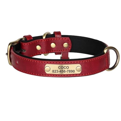 Personalisiertes Hundehalsband aus PU-Leder, personalisierbar, Anti-Verlust-Halsband für Bulldogge, Labrador, Französische Bulldogge, Deutscher Schäferhund, Rot, Größe XL Personalisiertes Hundehalsband aus PU-Leder, personalisierbar, Anti-Verlust-Halsband für Bulldogge, Labrador, Französische Bulldogge, Deutscher Schäferhund, Rot, Größe XL von HAQEPO
