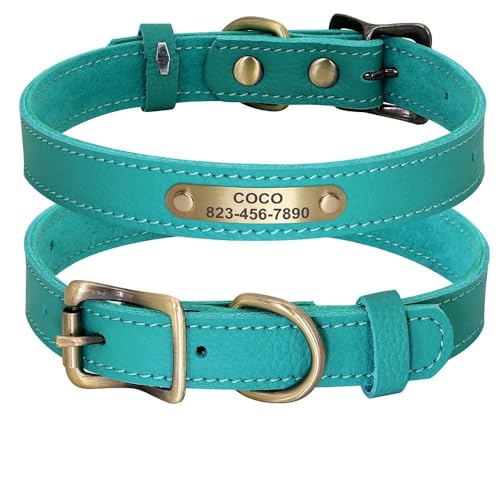 Personalisiertes Hundehalsband aus echtem Leder, personalisierbar, für Hunde und Katzen, Namensschild, verstellbar, Anti-Verlust-Halsband für Chihuahua, Mops, Labrador, Grün, Größe S Personalisiertes Hundehalsband aus echtem Leder, personalisierbar, für Hunde und Katzen, Namensschild, verstellbar, Anti-Verlust-Halsband für Chihuahua, Mops, Labrador, Grün, Größe S von HAQEPO