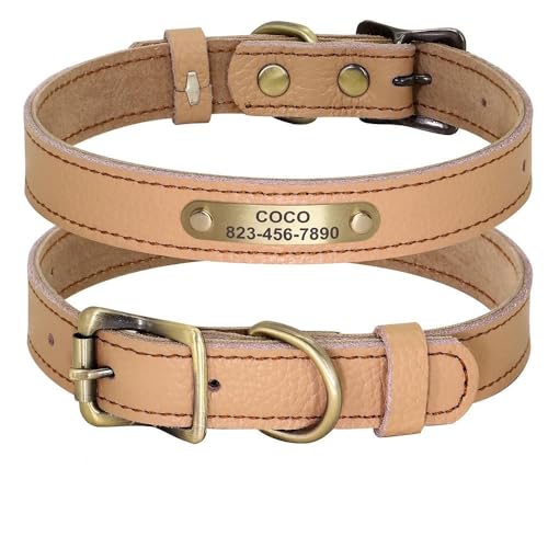 Personalisiertes Hundehalsband aus echtem Leder, personalisierbar, für Hunde und Katzen, Namensschild, verstellbar, Anti-Verlust-Halsband für Chihuahua, Mops, Labrador, Hellbraun, M von YHTAKF