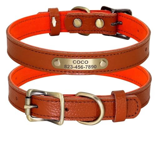 Personalisiertes Hundehalsband aus echtem Leder, personalisierbar, für Hunde und Katzen, Namensschild, verstellbar, Anti-Verlust-Halsband für Chihuahua, Mops, Labrador, Orange, Größe S von YHTAKF