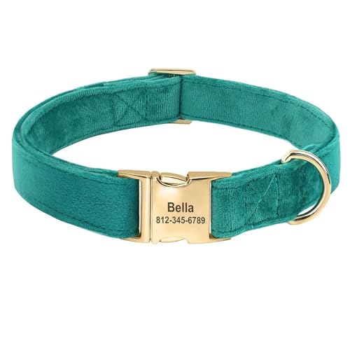 Personalisiertes Samt-Hundehalsband, personalisierbar, Anti-Verlust-Haustier-Namenshalsband, weich, bequem, verstellbar, für kleine bis mittelgroße Hunde, Grün, Größe M Personalisiertes Samt-Hundehalsband, personalisierbar, Anti-Verlust-Haustier-Namenshalsband, weich, bequem, verstellbar, für kleine bis mittelgroße Hunde, Grün, Größe M von YHTAKF