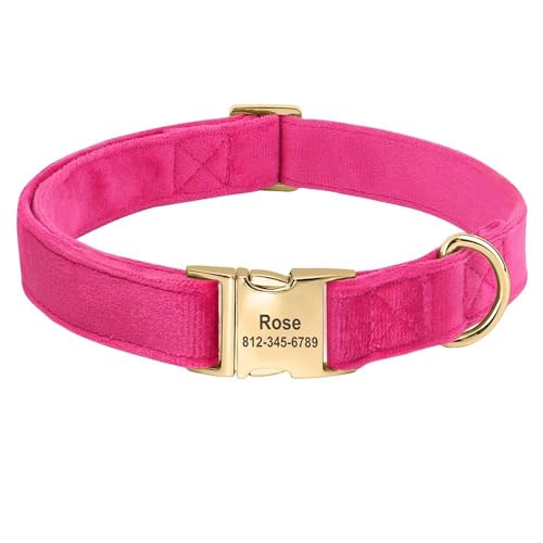 Personalisiertes Samt-Hundehalsband, personalisierbar, Anti-Verlust-Haustier-Namenshalsband, weich, bequem, verstellbar, für kleine bis mittelgroße Hunde, Rosenrot, Größe S von HAQEPO
