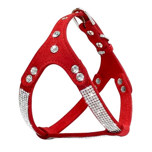 STETTETED -SCHRISTONESTONE Sparkling CRYN SUVEDET VERITIGTE Chihuahua FREZIGE Bulldogge Pug Yorkshire Terrier Training Gurt Weste,Rot,M von HAQEPO