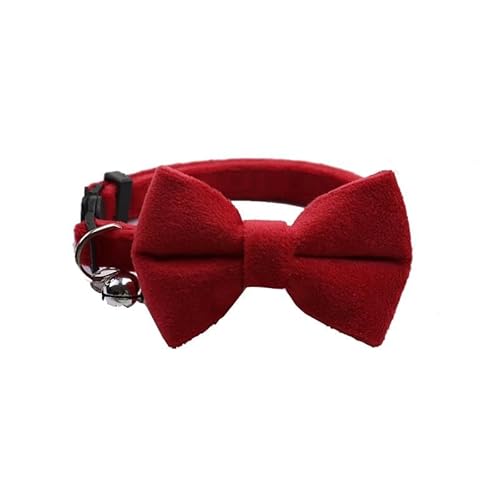 Samt-Katzenhalsband, einfarbig, Schleife, verstellbar, Katzen- und Hundehalsband mit Glöckchen, Sicherheitsschnalle, Katzenfliege, Halsband für Chihuahua, Mops, Labrador, Haustierzubehör, Rot, 1 x 28 Samt-Katzenhalsband, einfarbig, Schleife, verstellbar, Katzen- und Hundehalsband mit Glöckchen, Sicherheitsschnalle, Katzenfliege, Halsband für Chihuahua, Mops, Labrador, Haustierzubehör, Rot, 1 x 28 von HAQEPO