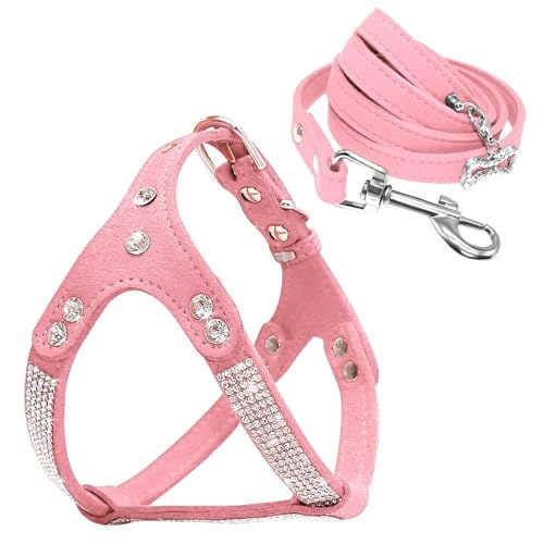 Set Mit Hundegeschirr Und Leine Aus Weichem Wildleder, Besetzt Mit Strasssteinen. Set Aus Hundegeschirr Und Leine Mit Kristallknochen-Anhänger. Hundegeschirr Für Kleine Bis Mittelgroße Hunde,A,M von YHTAKF