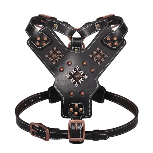 Verstellbarer Echtes Leder Deutsch Schäferhund Labrador French Bulldog Training Gurt Mit Kontrollgriff Metallhardware,Schwarz,L Verstellbarer Echtes Leder Deutsch Schäferhund Labrador French Bulldog Training Gurt Mit Kontrollgriff Metallhardware,Schwarz,L von HAQEPO
