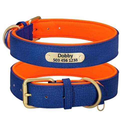 Verstellbarer Gepolsterter Lederhundkragen Mit Personalisiertem Ausweis Für Shiba Inu Pitbull Pudel Greyhound French Bulldogge,Blau,2XL von HAQEPO