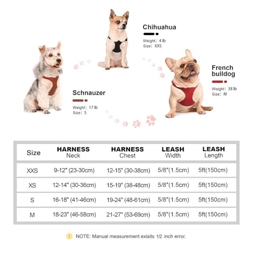 Verstellbarer PU -Leder Chihuahua Französisch Bulldogge Mops Wandertraining Gurt Leine Set Für Kleine Und Mittlere Hunde Und Katzen,Schwarz,M Verstellbarer PU -Leder Chihuahua Französisch Bulldogge Mops Wandertraining Gurt Leine Set Für Kleine Und Mittlere Hunde Und Katzen,Schwarz,M von HAQEPO
