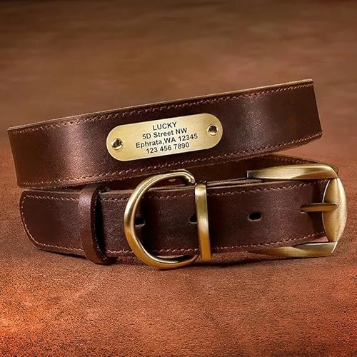 Verstellbares Anti-Verlust-Halsband für Haustiere, personalisierbar, aus echtem Leder, mit Namensschild, geeignet für Französische Bulldogge, Deutscher Schäferhund, Labrador, Braun, Größe L Verstellbares Anti-Verlust-Halsband für Haustiere, personalisierbar, aus echtem Leder, mit Namensschild, geeignet für Französische Bulldogge, Deutscher Schäferhund, Labrador, Braun, Größe L von HAQEPO