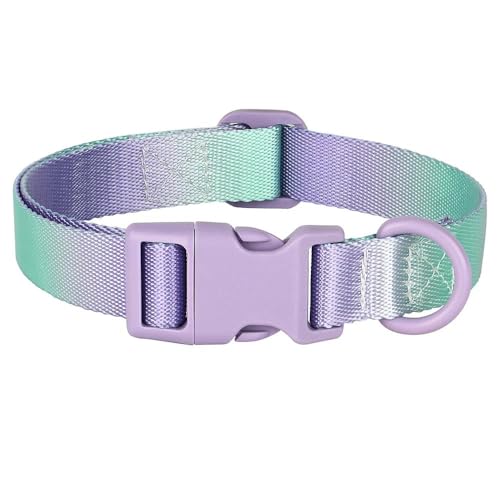 Verstellbares Hundehalsband für kleine und mittelgroße Hunde und Katzen, Nylon, Farbverlauf, modisches Halsband, geeignet für Chihuahua, Mops, Labrador, C, L Verstellbares Hundehalsband für kleine und mittelgroße Hunde und Katzen, Nylon, Farbverlauf, modisches Halsband, geeignet für Chihuahua, Mops, Labrador, C, L von HAQEPO