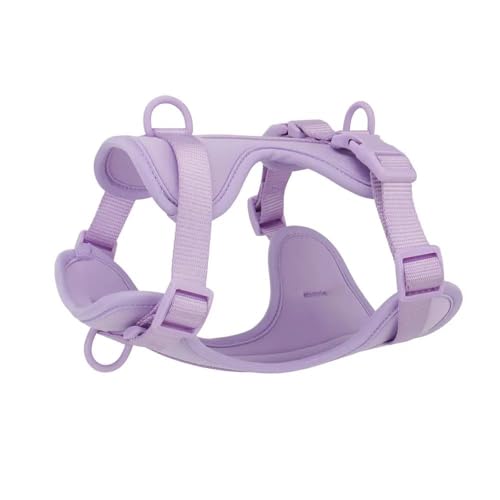 Wasserdichtes Nylon-Hundegeschirr, Outdoor-Walking-Training, Hundegeschirr, Modischer Brustgurt Für Haustiere, Verstellbares Haustiergeschirr, Geeignet Für Kleine Und Mittelgroße Hunde,F,S Wasserdichtes Nylon-Hundegeschirr, Outdoor-Walking-Training, Hundegeschirr, Modischer Brustgurt Für Haustiere, Verstellbares Haustiergeschirr, Geeignet Für Kleine Und Mittelgroße Hunde,F,S von YHTAKF