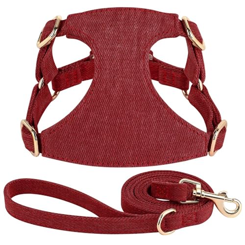 Weich Bequem, Atmungsaktives Netz Nylon Hundekabelbaum Und Leinen -Set EIN Verstellbares Hundeausbildungsgurt Für Chihuahua Bulldog Yorkshire Mops,Rot,M Weich Bequem, Atmungsaktives Netz Nylon Hundekabelbaum Und Leinen -Set EIN Verstellbares Hundeausbildungsgurt Für Chihuahua Bulldog Yorkshire Mops,Rot,M von HAQEPO