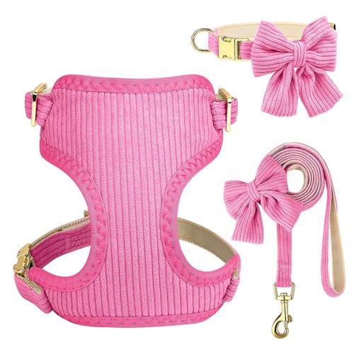 Weich Bequemer, Atmungsaktives Samt Mit Bowknot Verstellbarer Hundekabelbaum Leine Set Für Pug Yorkshire Terrier Chihuahua,Rose,M Weich Bequemer, Atmungsaktives Samt Mit Bowknot Verstellbarer Hundekabelbaum Leine Set Für Pug Yorkshire Terrier Chihuahua,Rose,M von HAQEPO