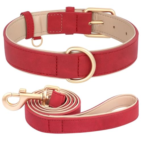 Weiche Und Komfortable Gepolsterte PU -Leder -Hundetrainingsketten -Leine Set Für Pudel Mops Greyhound Shiba Inu, Red,XL von HAQEPO