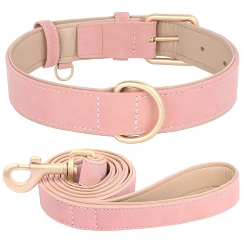 Weiche Und Komfortable Gepolsterte PU -Leder -Hundetrainingsketten -Leine Set Für Pudel Mops Greyhound Shiba Inu,A,M von HAQEPO
