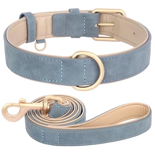 Weiche Und Komfortable Gepolsterte PU -Leder -Hundetrainingsketten -Leine Set Für Pudel Mops Greyhound Shiba Inu,Blau,M Weiche Und Komfortable Gepolsterte PU -Leder -Hundetrainingsketten -Leine Set Für Pudel Mops Greyhound Shiba Inu,Blau,M von HAQEPO