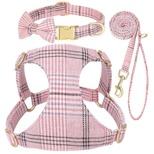 Weiche Und Komfortable Verstellbare Nylon Chihuahua Yorkshire Mops Training Walking Gurness Kragenleine Set,A,Xs von HAQEPO