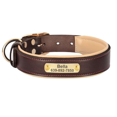 Weiche Und Komfortable Verstellbare PU -Lederhund -Trainingshalnen Mit Personalisiertem ID -Tag -Namensschild Für Pitbull Chihuahua Pudel,Braun,S Weiche Und Komfortable Verstellbare PU -Lederhund -Trainingshalnen Mit Personalisiertem ID -Tag -Namensschild Für Pitbull Chihuahua Pudel,Braun,S von HAQEPO