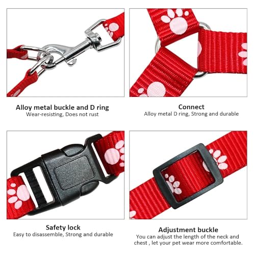 Weicher Und Komfortabler Verstellbarer Nylon Kleiner Hunde -Wanderkabelbaum Und Leine Für Chihuahua Yorkshire Terrier Schnauzer,LILA,S von HAQEPO