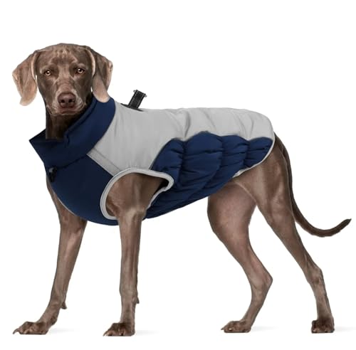 Winter Warmes Bulldog Labrador Deutsch Schäferhund Windhundjacke Im Freien Reflektierend wasserdichte Haustiermantel,Marineblau,XL Winter Warmes Bulldog Labrador Deutsch Schäferhund Windhundjacke Im Freien Reflektierend wasserdichte Haustiermantel,Marineblau,XL von HAQEPO