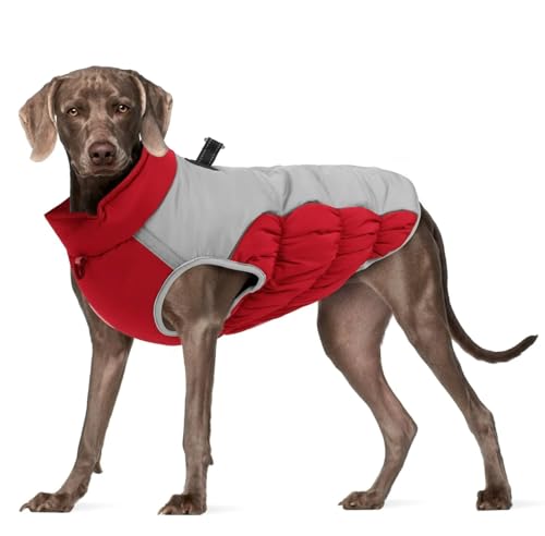 Winter Warmes Bulldog Labrador Deutsch Schäferhund Windhundjacke Im Freien Reflektierend wasserdichte Haustiermantel,Rot,XL Winter Warmes Bulldog Labrador Deutsch Schäferhund Windhundjacke Im Freien Reflektierend wasserdichte Haustiermantel,Rot,XL von HAQEPO
