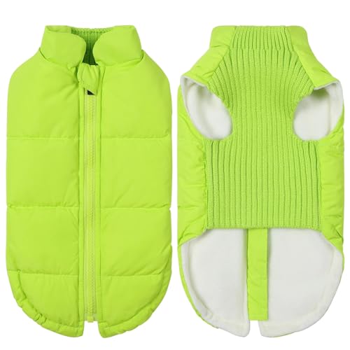 Yorkshire Terrier Chihuahua Mops Jacke Kleidung Herbst Und Winter Warmer Winddichtem Haustiermantel Mit Reißverschluss,Grün,2XL Yorkshire Terrier Chihuahua Mops Jacke Kleidung Herbst Und Winter Warmer Winddichtem Haustiermantel Mit Reißverschluss,Grün,2XL von HAQEPO
