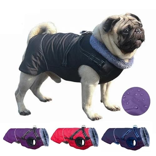 wasserdichte Reflexionshundjacke Im Freien Mit Kabelbaum Winter Fleece Warme Französische Bulldogge Labrador Greyhound Mantel,Lila,3XL wasserdichte Reflexionshundjacke Im Freien Mit Kabelbaum Winter Fleece Warme Französische Bulldogge Labrador Greyhound Mantel,Lila,3XL von HAQEPO