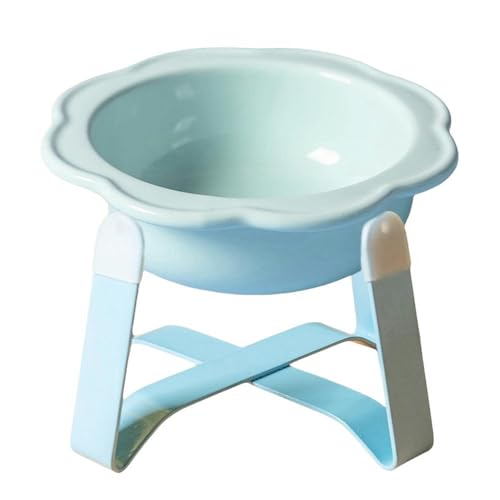 HAQJWMZC katzennapf Keramische Katzenschale Eisenrahme Blumenförmige Schale Zum Schutz Der Gebärmutterhalswirbel Katzennahrungsschale Katzenwasserschale Erhöhte Katzenschale-himmelblau HAQJWMZC katzennapf Keramische Katzenschale Eisenrahme Blumenförmige Schale Zum Schutz Der Gebärmutterhalswirbel Katzennahrungsschale Katzenwasserschale Erhöhte Katzenschale-himmelblau von HAQJWMZC