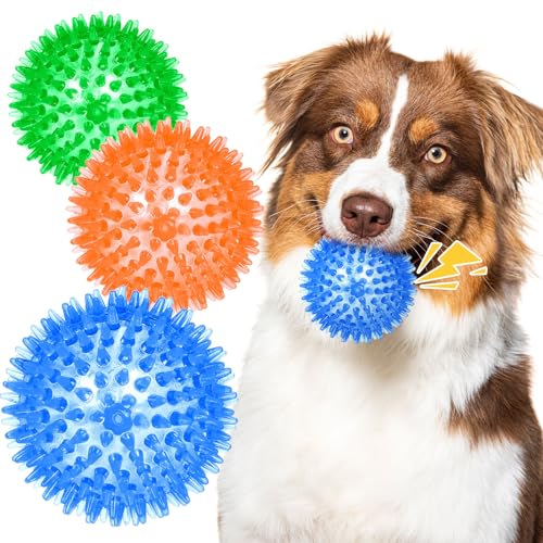 HAREDIG 6,3 cm Hundespielzeugball, 3 Stück, quietschende Kauspielzeugbälle, Spikey Hundebälle, Kauspielzeug für die Zahnreinigung, interaktives Apportierspielzeug für kleine, mittelgroße und große Haustier-Hundespielzeug von HAREDIG