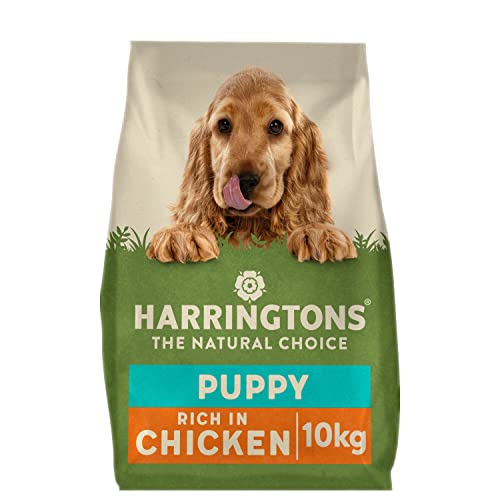 Harringtons Complete Puppy Hundetrockenfutter mit Hühnchen und Reis, 10kg, Hergestellt aus rein Natürlichen Zutaten von HARRINGTONS