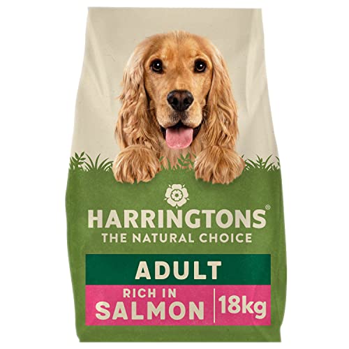Harringtons Complete Trockenfutter für Hunde für Erwachsene, Lachs und Kartoffel, 18kg, Hergestellt aus rein Natürlichen Zutaten von HARRINGTONS