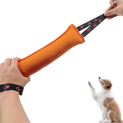 HASLED Beißwurst Hundespielzeug (30 cm) – Reißfestes Zerrspielzeug mit Handschlaufe – Orange für Training, Tauziehen & Hundespaß von HASLED