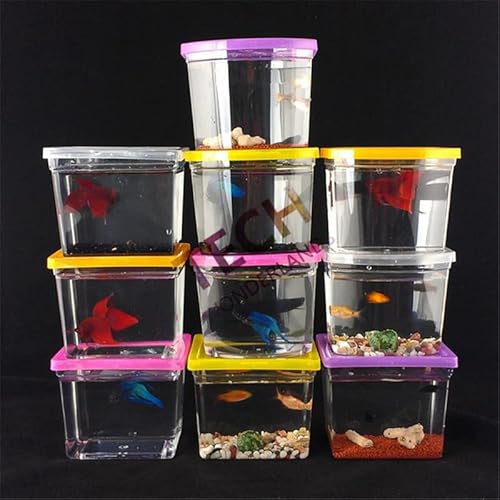 Aquarium Buntes Betta Haus Rechteck Kampf mit Betta-Fischtank Aquarium-Wohnzimmer Büro-Büro-Desktop-Hauswarming-Geschenk Aquarien (Color : Color, Size : Arc Shaped) von HASMI